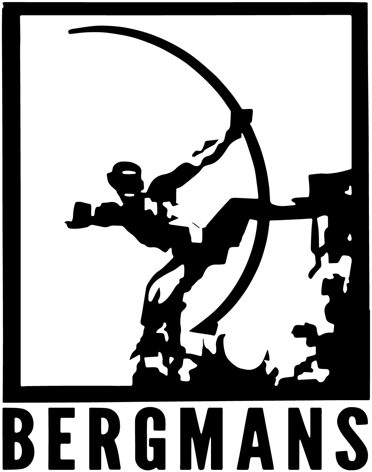 Bergmans Security Consultants and Supplies Limited logo